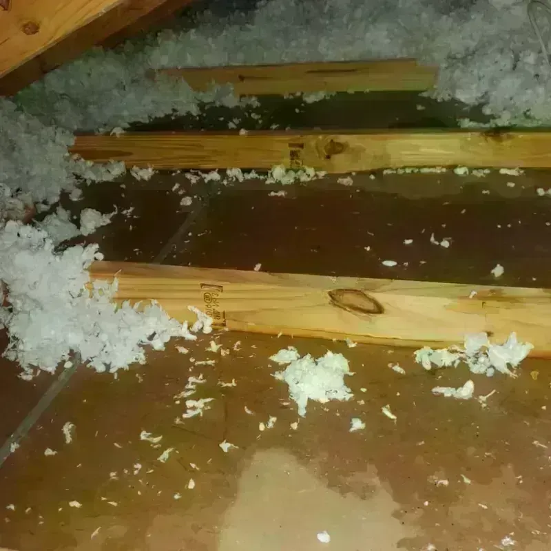 Attic Water Damage in Walnut Grove, GA